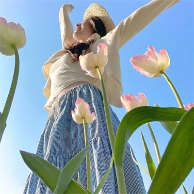 百日蔷薇